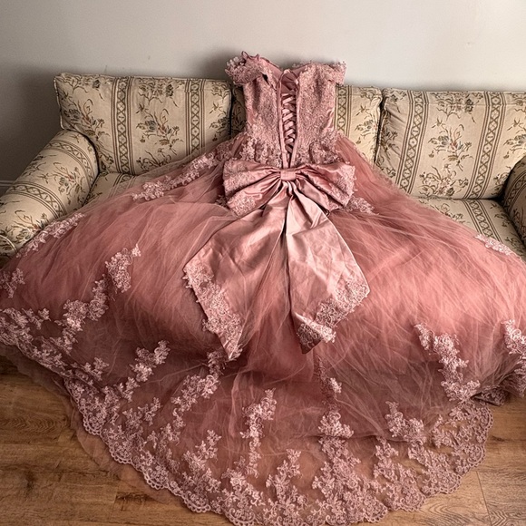 Amazon Dusty Rose Lace Tulle Ball Gown Dress with Bow - Picture 5 of 7